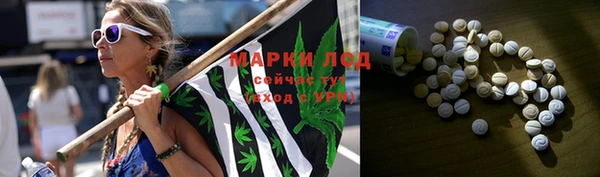 кокс Аркадак