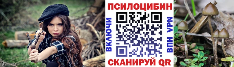 гидра зеркало как найти закладки Лесосибирск Псилоцибиновые грибы MAGIC MUSHROOMS